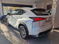 usado Lexus NX300 300h Business Navigation 2WD