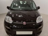 Usado Fiat Panda 69 CV (50 kW) 2024 Utilitario