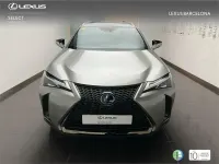 Usado Lexus UX Sport Line 184 CV (135 kW) 2019 Otro SUV