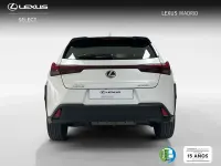 Usado Lexus UX 199 CV (146 kW) 2025 Blanco SUV