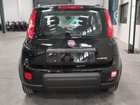 usado Fiat Panda Cross 1.0 Gse City Hybrid