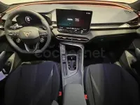 Nuevo Cupra Terramar 150 CV (110 kW) 2026 Blanco SUV