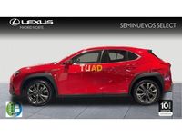 usado Lexus UX 2.0 250h F Sport 4WD