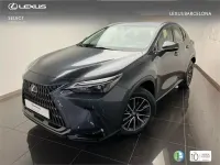 Usado Lexus NX350h Business Edition 244 CV (179 kW) 2022 Gris SUV