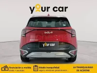 Usado Kia Sportage 136 CV (100 kW) 2024 Rojo SUV