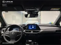 Usado Lexus UX 250h Business Edition 184 CV (135 kW) 2022 Otro SUV