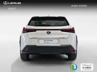 Usado Lexus UX 300h 199 CV (146 kW) 2025 Blanco SUV