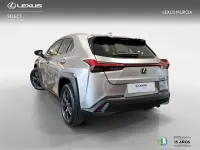Brugt Lexus UX 250h Business Edition 184 HK (135 kW) 2022 Otro SUV