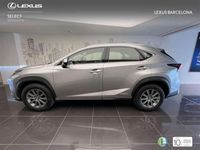 usado Lexus NX300 300h Business Navigation 2WD