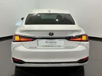Usado Lexus ES300 Business Edition 218 CV (160 kW) 2020 Blanco Berlina