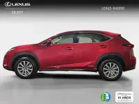 Usado Lexus NX300h Business Edition 197 CV (144 kW) 2020 Rojo SUV