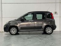 Usado Fiat Panda Easy 69 CV (50 kW) 2019 Gris Utilitario
