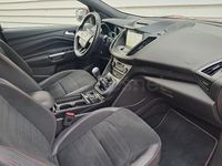 Usado Ford Kuga ST-Line 120 CV (88 kW) 2019 Rojo SUV