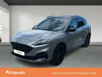 Usado Ford Kuga ST-Line X 190 CV (139 kW) 2023 Gris SUV