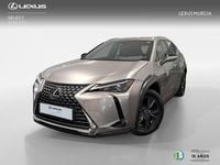Usado Lexus UX 300h 2025 Gris SUV