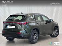 Usado Lexus NX350h 243 CV (178 kW) 2025 Verde SUV
