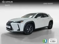 Usado Lexus UX 199 CV (146 kW) 2025 Blanco SUV