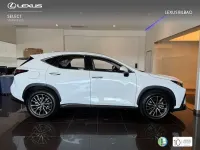 Usado Lexus NX450h+ 306 CV (225 kW) 2025 Blanco SUV