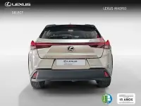 Usado Lexus UX Luxury Line 184 CV (135 kW) 2021 Plateado SUV