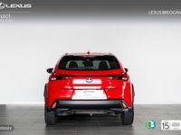 Usado Lexus UX 250h Business Edition 184 CV (135 kW) 2020 Rojo SUV