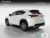 Usado Lexus NX300h Business Edition 197 CV (144 kW) 2019 Blanco SUV