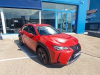 usado Lexus UX 250h 2.0 250h Business