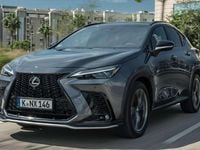Usado Lexus NX350h Executive Line 242 CV (177 kW) 2022 Blanco sonic SUV