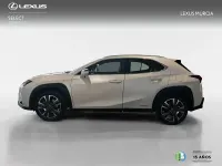Brugt Lexus UX 250h 184 HK (135 kW) 2022 Hvid SUV