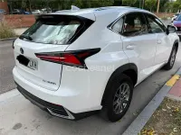 Usado Lexus NX300h Business Edition 197 CV (144 kW) 2020 Blanco SUV