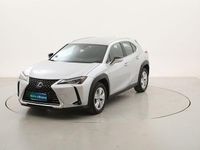 Usado Lexus UX 250h Business Edition 184 CV (135 kW) 2021 SUV