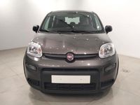 Usado Fiat Panda 69 CV (50 kW) 2024 Gris Utilitario