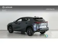 Usado Lexus UX 250h 184 CV (135 kW) 2024 Gris SUV