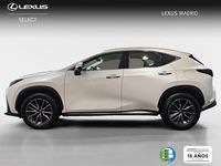 Usado Lexus NX350h Business Edition 242 CV (177 kW) 2023 Blanco SUV