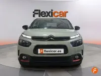 Usado Citroën C4 Cactus Feel 130 CV (95 kW) 2018 Blanco Utilitario