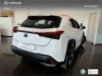 Usado Lexus UX 250h 184 CV (135 kW) 2022 Blanco SUV