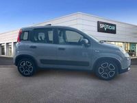 Usado Fiat Panda City Life 71 CV (52 kW) 2021 Gris Berlina