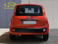 Usado Fiat Panda Lounge 69 HP (50 kW) 2020 Vermelho Citadino