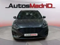 Usado Ford Kuga ST-Line 120 CV (88 kW) 2023 Gris SUV