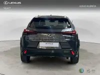 Usado Lexus UX 199 CV (146 kW) 2026 Gris / plata SUV