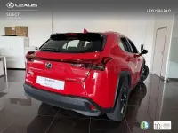 Usado Lexus UX Business Edition 184 CV (135 kW) 2022 Rojo SUV