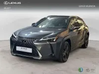Usado Lexus UX 300h 199 CV (146 kW) 2025 Gris SUV