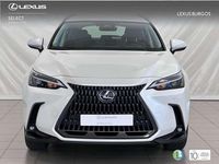 Usado Lexus NX350h 242 CV (177 kW) 2024 Blanco SUV
