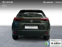 Usado Lexus UX 199 CV (146 kW) 2025 Verde SUV