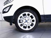 Usado Ford Ecosport Trend 101 CV (74 kW) 2020 Blanco SUV