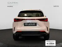 Nuevo Lexus NX350h 197 CV (144 kW) 2025 Blanco