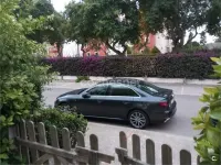 Usado Audi A4 S-Line 150 CV (110 kW) 2019 Gris / plata Berlina