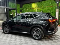 Usado Lexus NX350h Business Edition 242 CV (177 kW) 2022 Negro SUV