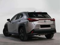 Usado Lexus UX 250h Business Edition 184 CV (135 kW) 2021 SUV