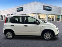 Usado Fiat Panda Comfort 71 CV (52 kW) 2023 Blanco Utilitario