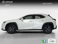 Usado Lexus UX 300h 199 CV (146 kW) 2025 Blanco SUV